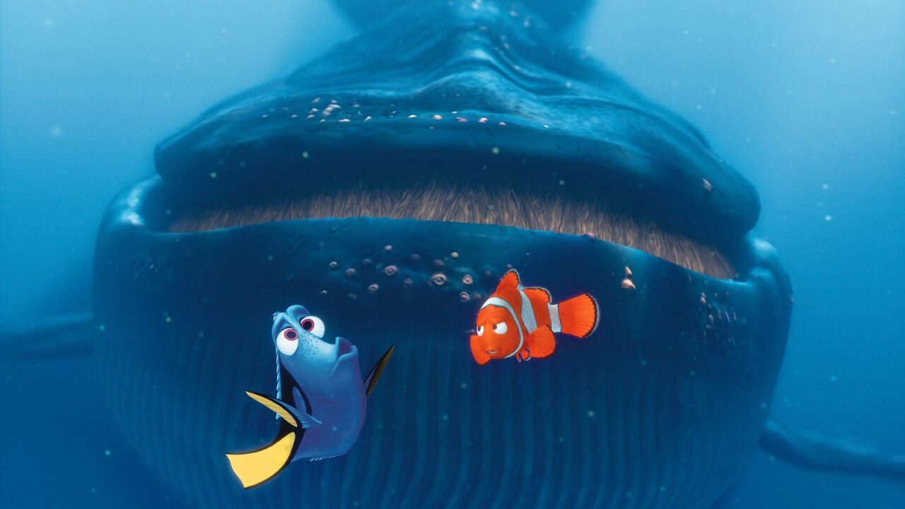 Finding Nemo