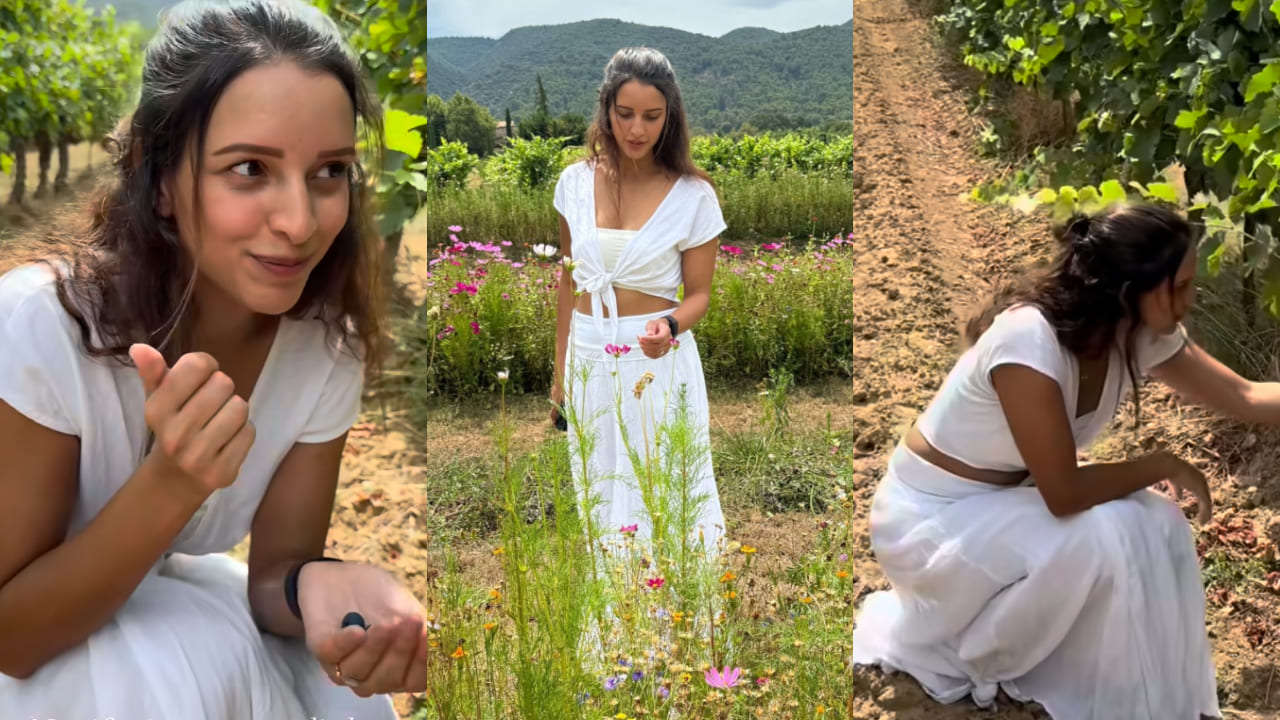 Triptii Dimri in all white look on her vacation