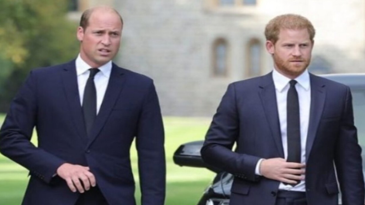 Will Prince William And Prince Harry Ever Meet Again? Here’s What Royal Experts Say About Brothers’ Strained Bonding