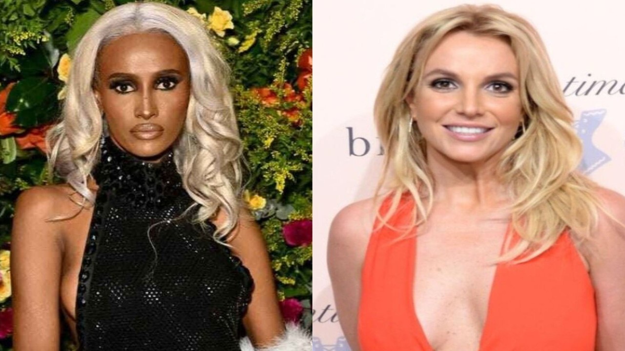 Chanel Ayan Believes Britney Spears Watches The Real Housewives Franchise; Here's Why