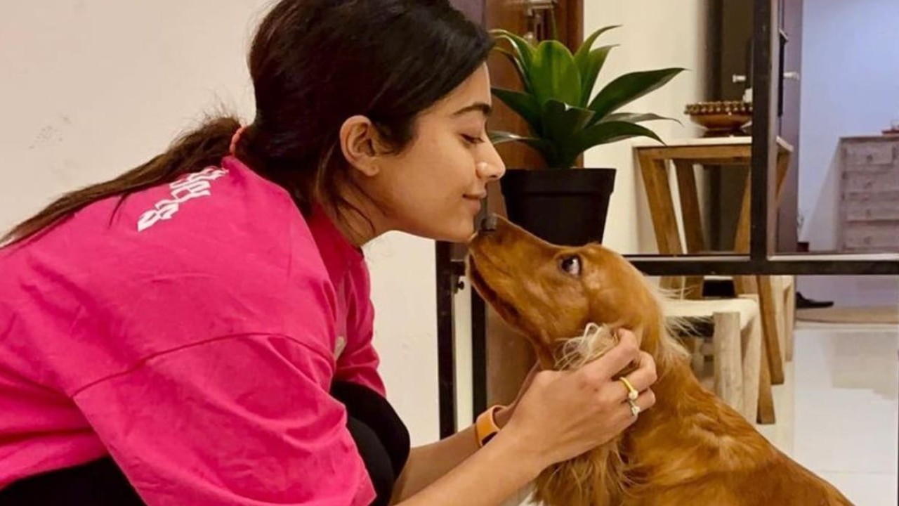 WATCH: Rashmika Mandanna misses her furry friend Aura a little too much as she celebrates International Dog Day