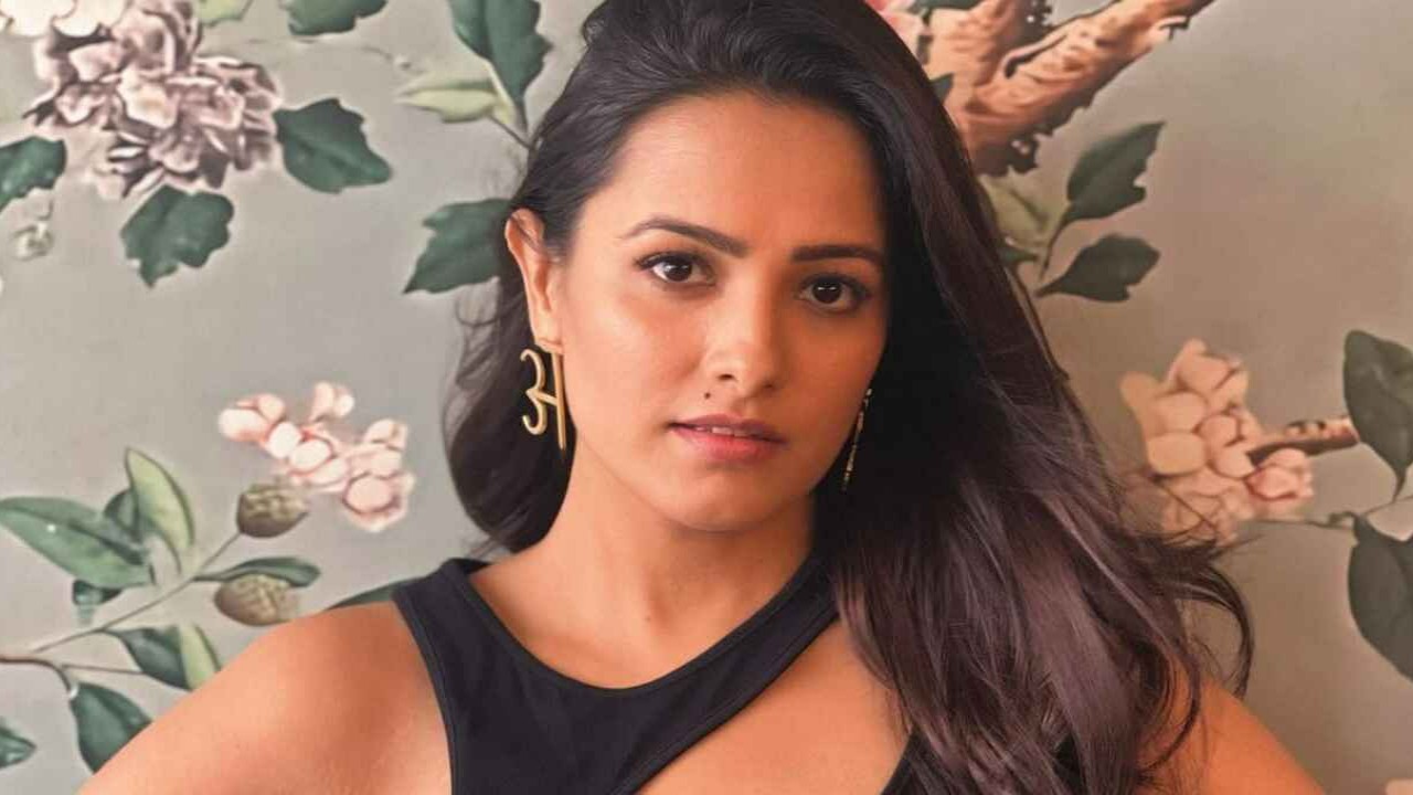 Anita Hassanandani Instagram