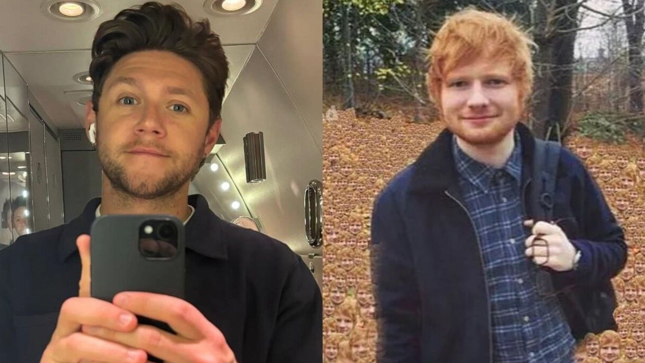 Niall Horan and Ed Sheeran surprise with performance of Little Things and Lego House; Details