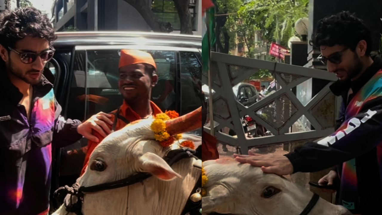 WATCH: Ibrahim Ali Khan adorably interacts with holy cow 'Laxmi' and receives blessings in fun video; 'Bahut bada hai yeh'