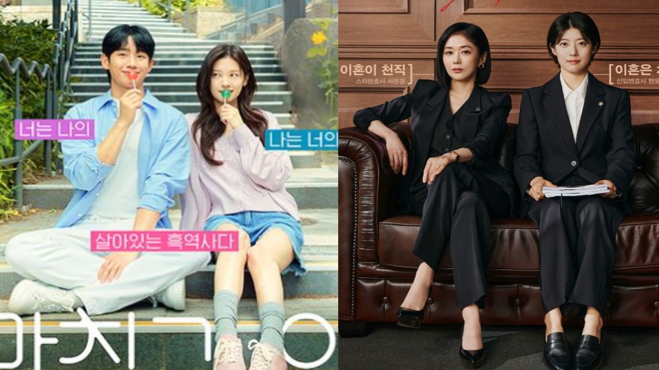 Love Next Door, Good Partner: tvN, SBS