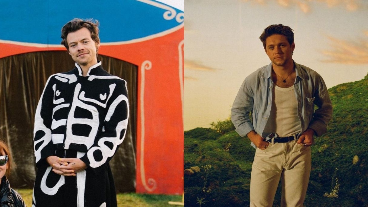 Harry Styles Attends Niall Horan’s Concert, Sings Along to THIS One Direction Song