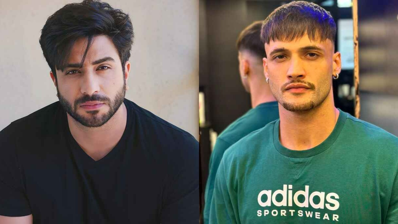 Aly Goni, Asim Riaz