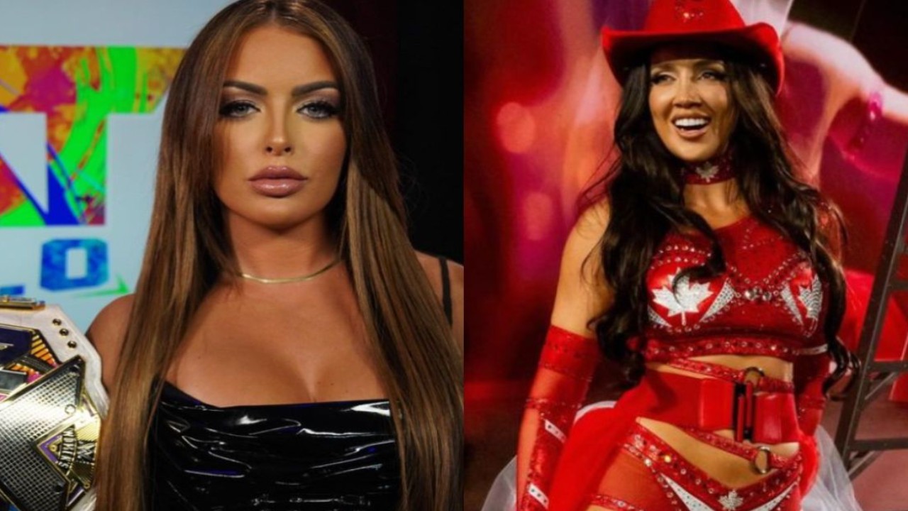 6 WWE Stars Who Turned to OnlyFans