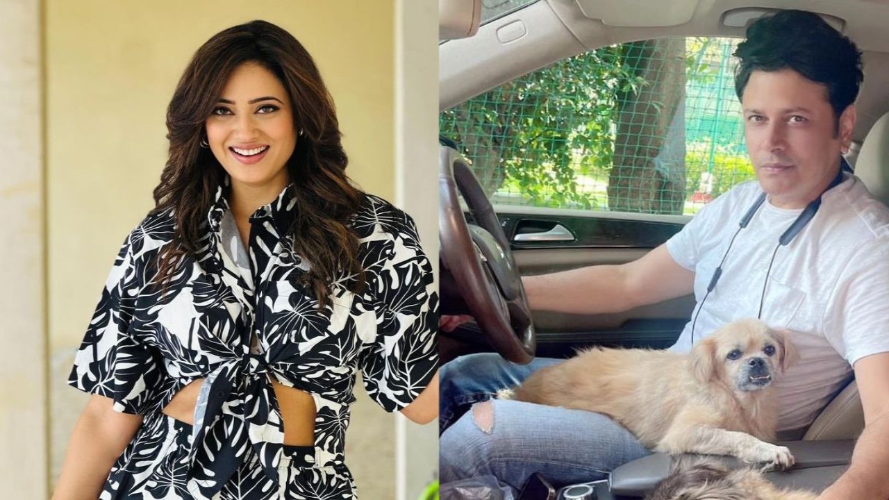 THROWBACK: When Shweta Tiwari addressed DATING rumors with Kasautii Zindagii Ki co-star Cezanne Khan: 'I shoot for 40 days..'