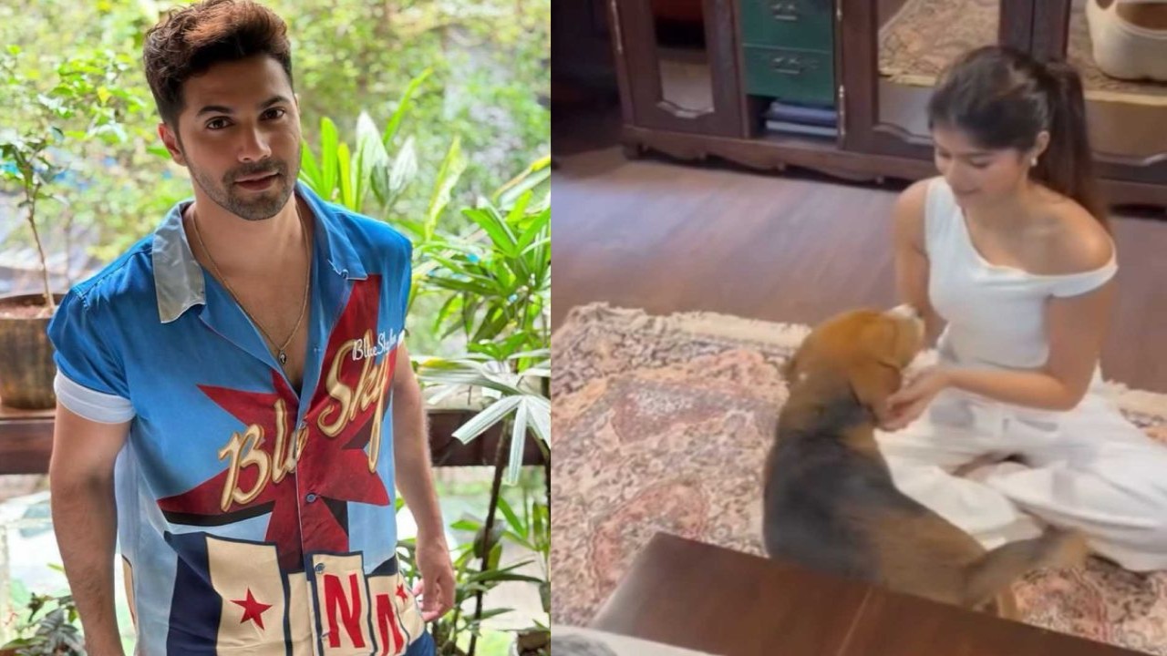 Varun Dhawan says 'try your luck' as niece Anjini Dhawan asks if she can pick his pet dog Joey; don't miss adorable VIDEO