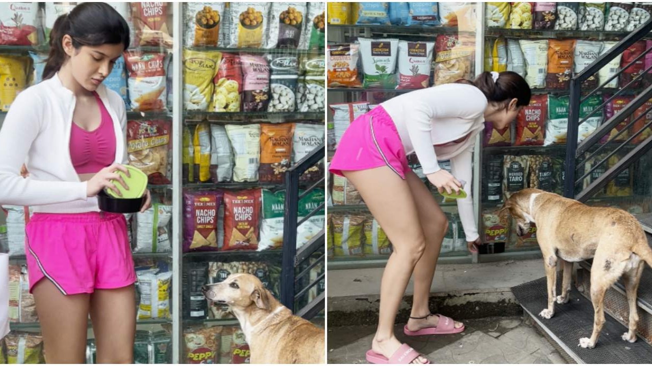 Shanaya Kapoor feeding a stray dog on the street has our hearts; Don't miss VIDEO