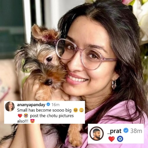 Shraddha Kapoor welcomes ‘nanhi stree’ to her abode but someone isn't happy about it; don't miss Ananya Panday's reaction