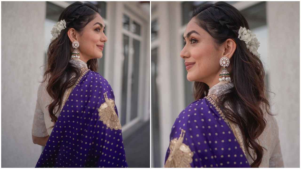 Top 7 gajra hairstyles to take your ethnic festive season looks to the next level in 2024 (PC: Celebrities Instagram)