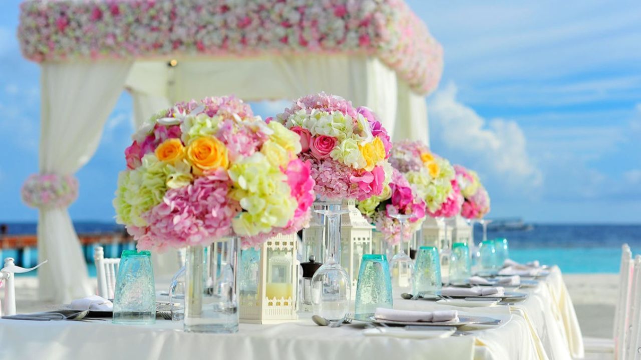 Questions to Ask Your Wedding Planner for Your Dream Day