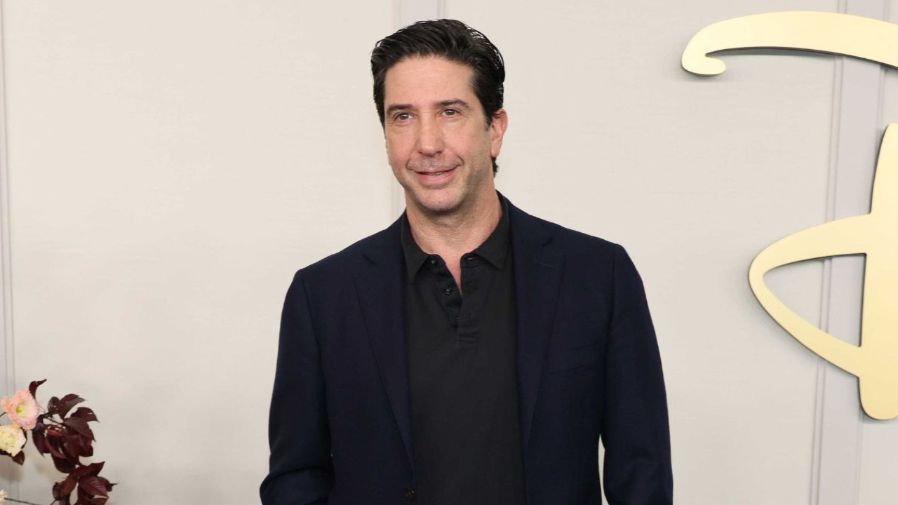 Friends Star David Schwimmer Reveals He Turned Down Lead Role In THIS Major Franchise: 'My Career Would Have...'  