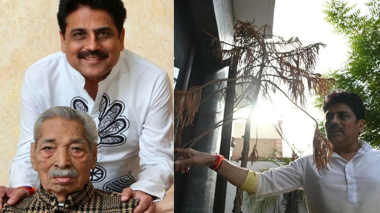 Taarak Mehta Ka Ooltah Chashmah's Shailesh Lodha REVEALS eerie incident of a plant withering away after his papa's death; Read details