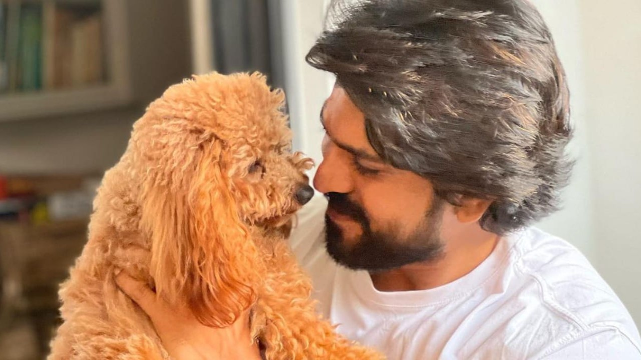 Believe it or not, Ram Charan's furry pet Rhyme gets Madame Tussauds wax statue; deets inside