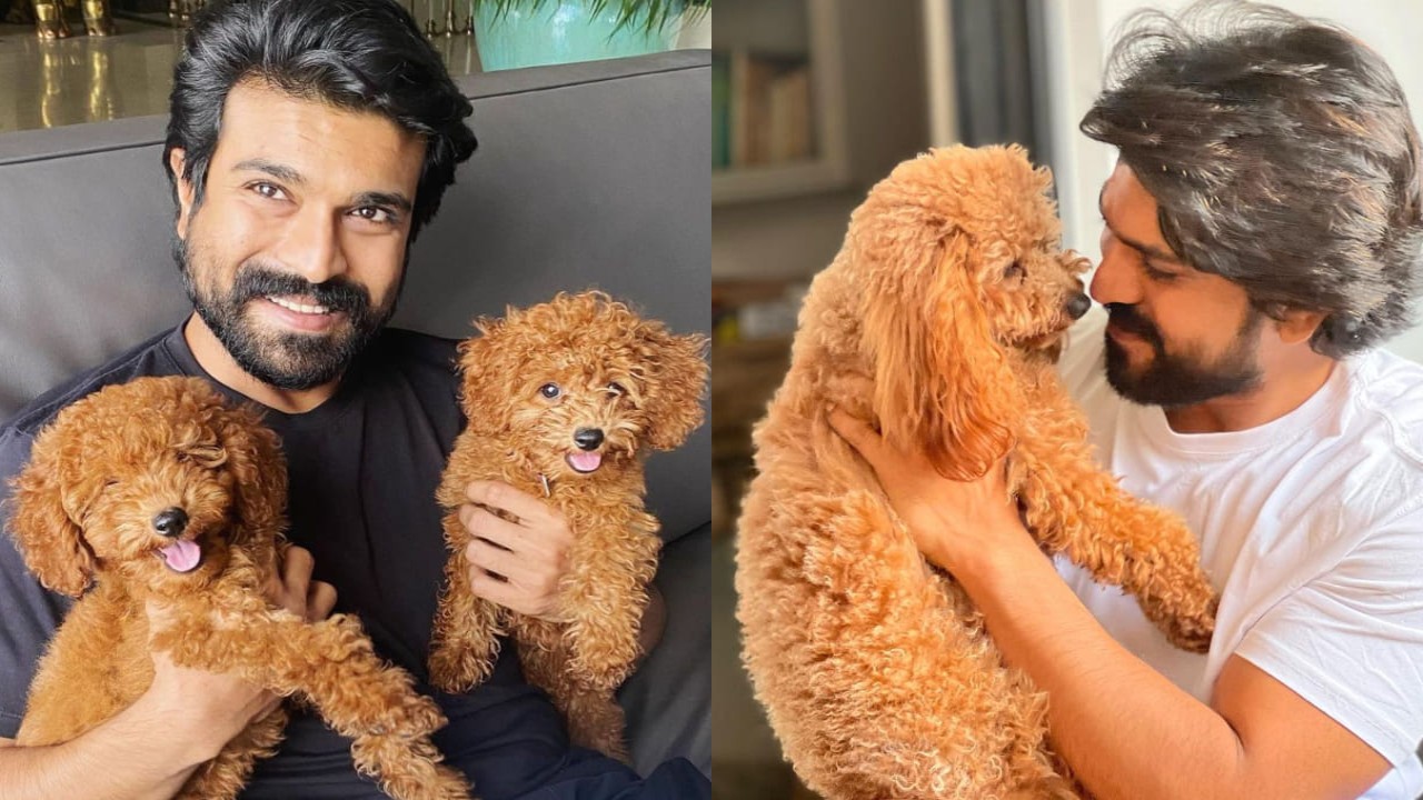 Ram Charan's pet Rhyme adorably clarifies it was not him who fans swarmed