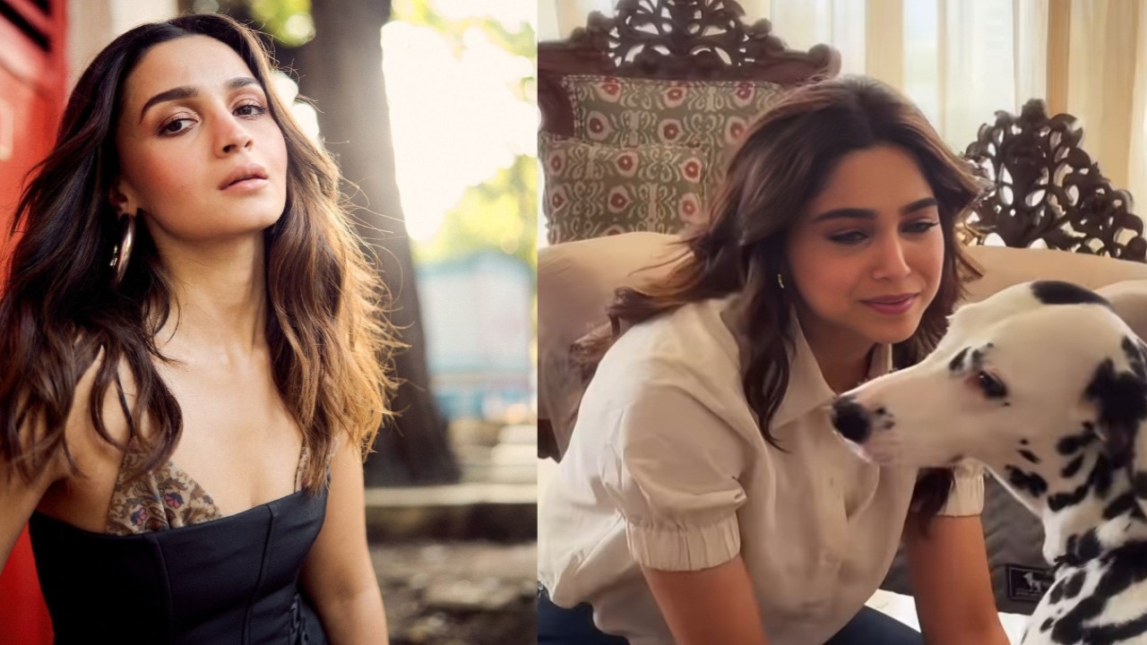 Alia Bhatt has the cutest reaction to her Alpha co-star, Sharvari's new reel on Jigra song ft her pet dog