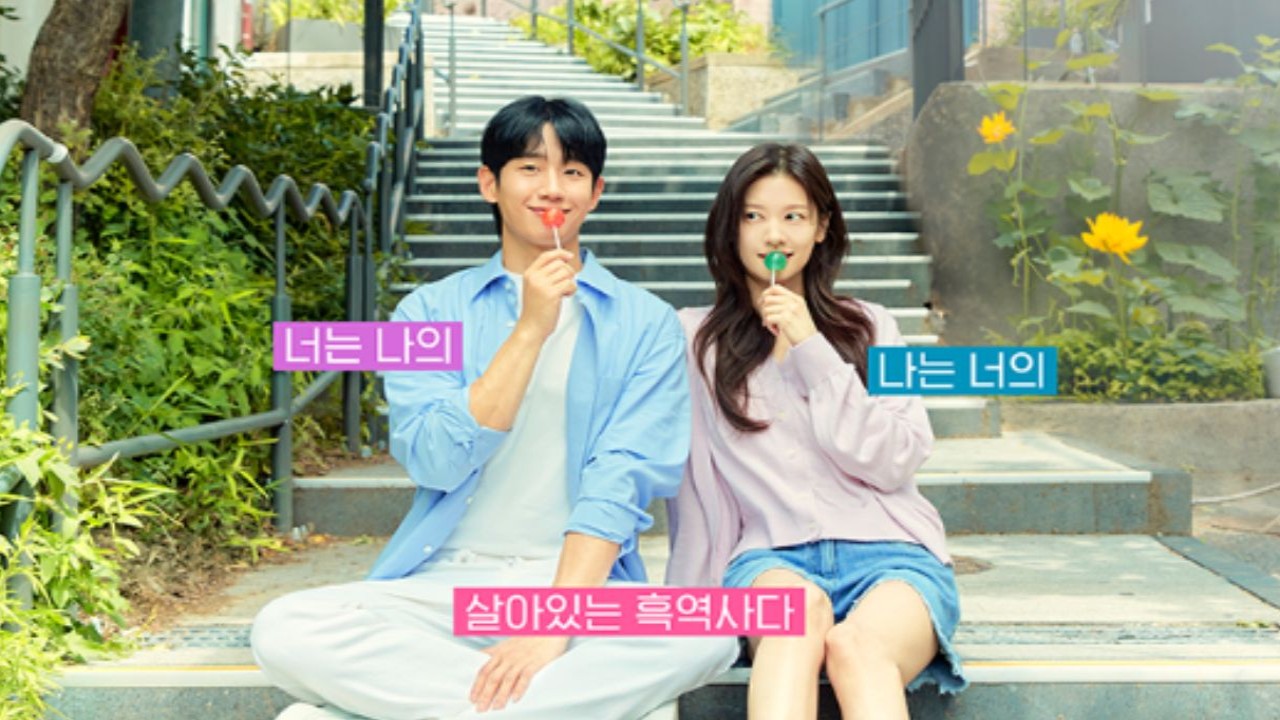 Love Next Door poster: tvN 