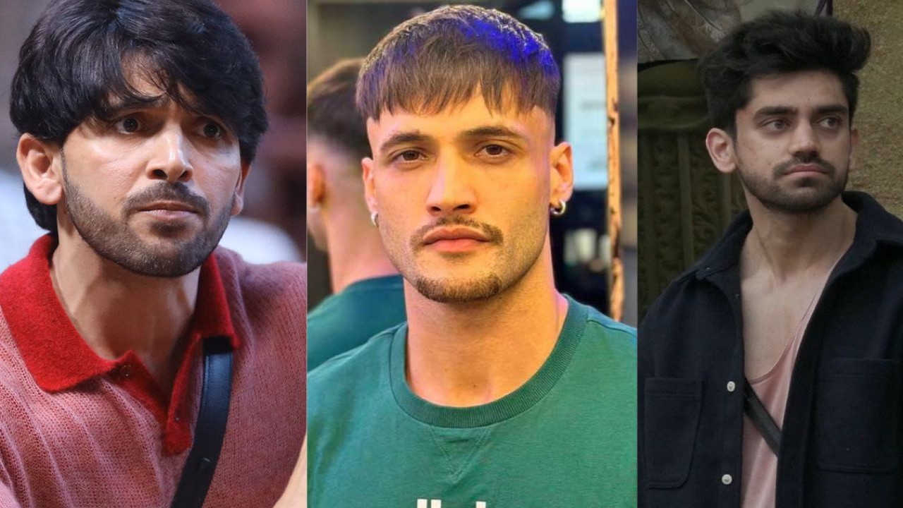 Shehzada Dhami, Avinash Mishra, Asim Riaz