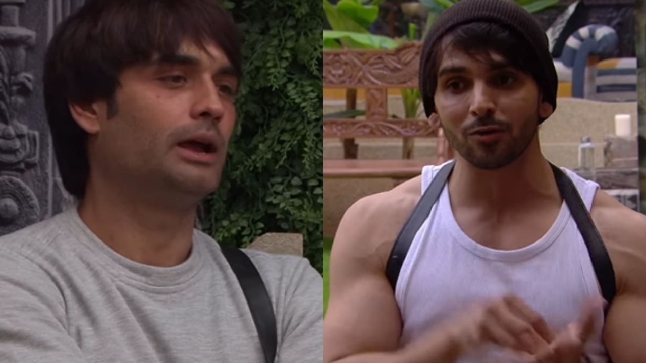 Vivian Dsena, Shehzada Dhami