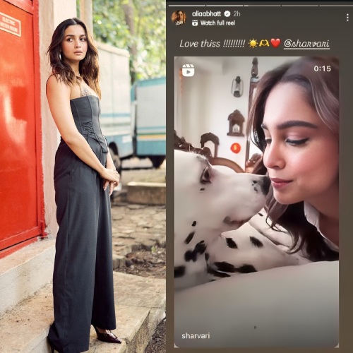 Alia Bhatt has the cutest reaction to her Alpha co-star, Sharvari's new reel on Jigra song ft her pet dog