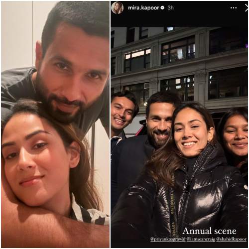 Deva star Shahid Kapoor flashes million dollar smile in latest PIC with Mira Rajput as they hang out with friends