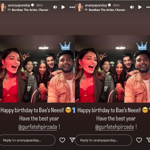 Ananya Panday’s birthday wish for Call Me Bae’s Gurfateh Pirzada will make you root for team Neel and excited for season 2