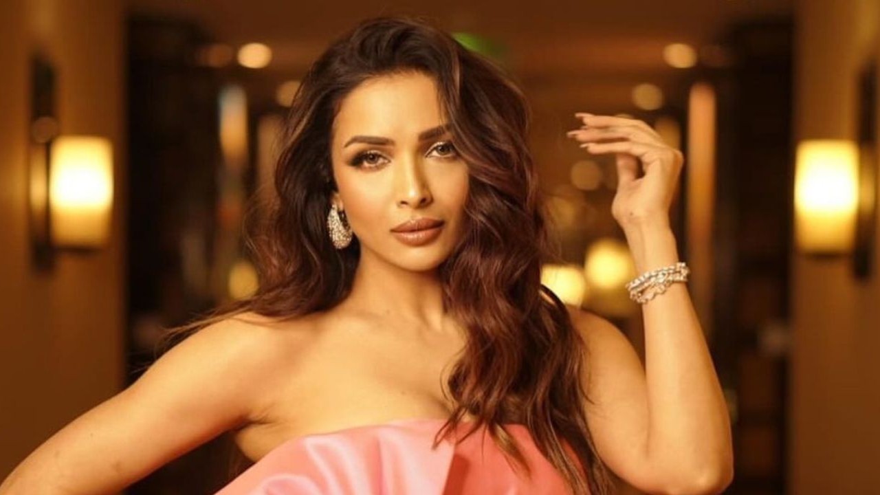 Malaika Arora reveals her relationship status publicly for the first time after breakup with Arjun Kapoor; find out