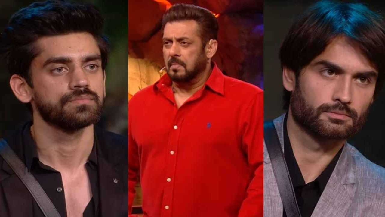 Avinash Mishra, Salman Khan, Vivian Dsena