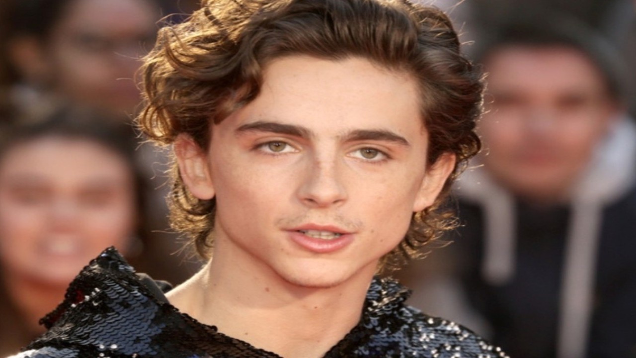 Timothée Chalamet (Getty Images)