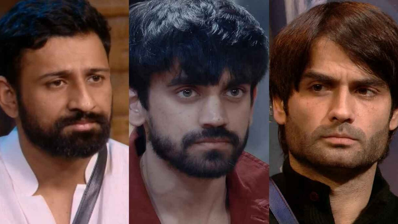 Rajat Dalal, Avinash Mishra, Vivian Dsena