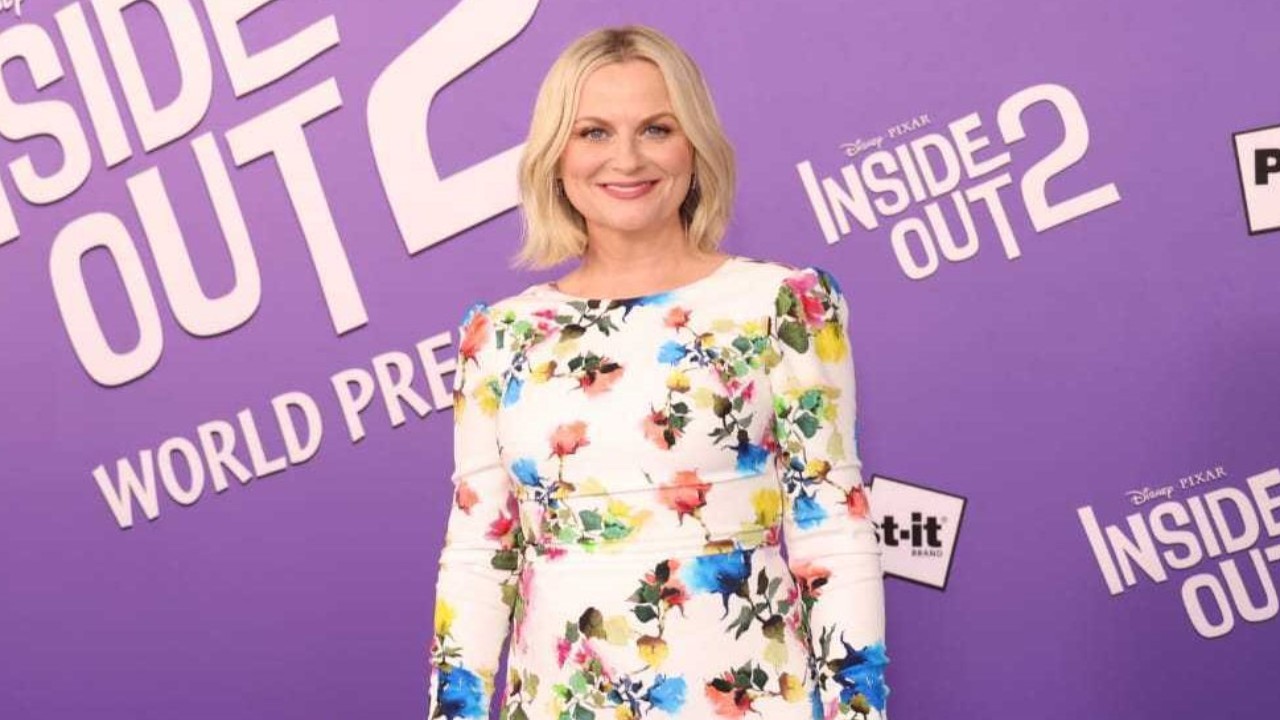 Amy Poehler Reflects on Inside Out Role at Mental Wellness Event: 'Truly Changed My Life'