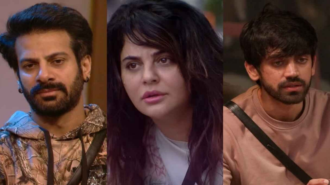 Karan Veer Mehra, Sara Arfeen Khan, Avinash Mishra