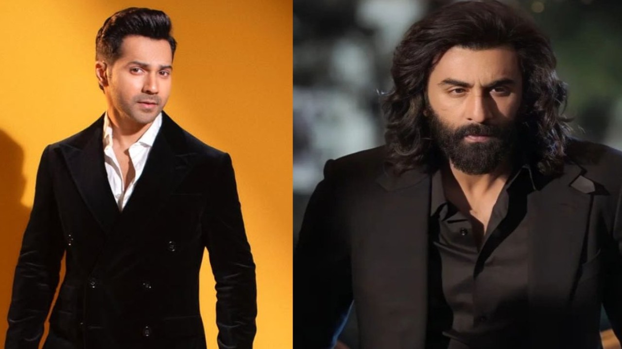 Will Varun Dhawan work in a film like Ranbir Kapoor’s Animal? Here’s how Baby John star reacted