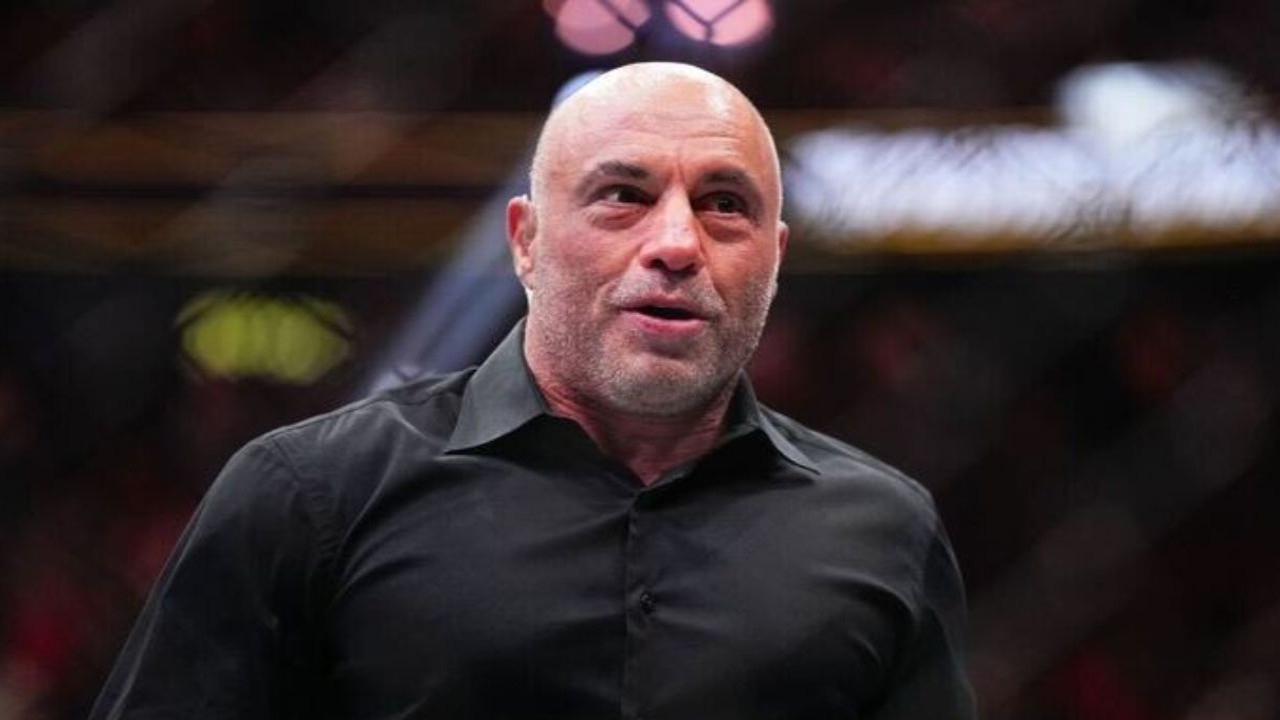 Which Surprising Jobs Did Joe Rogan Venture Into Before Starting His Popular Podcast? Find Out