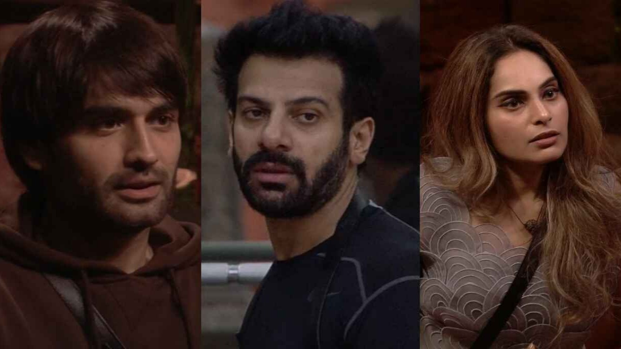 Bigg Boss 18 Written Update, December 4: Vivian Dsena slams Karan Veer Mehra after latter questions Shrutika Arjun: 'Tajinder Bagga ko susu karate ho?'