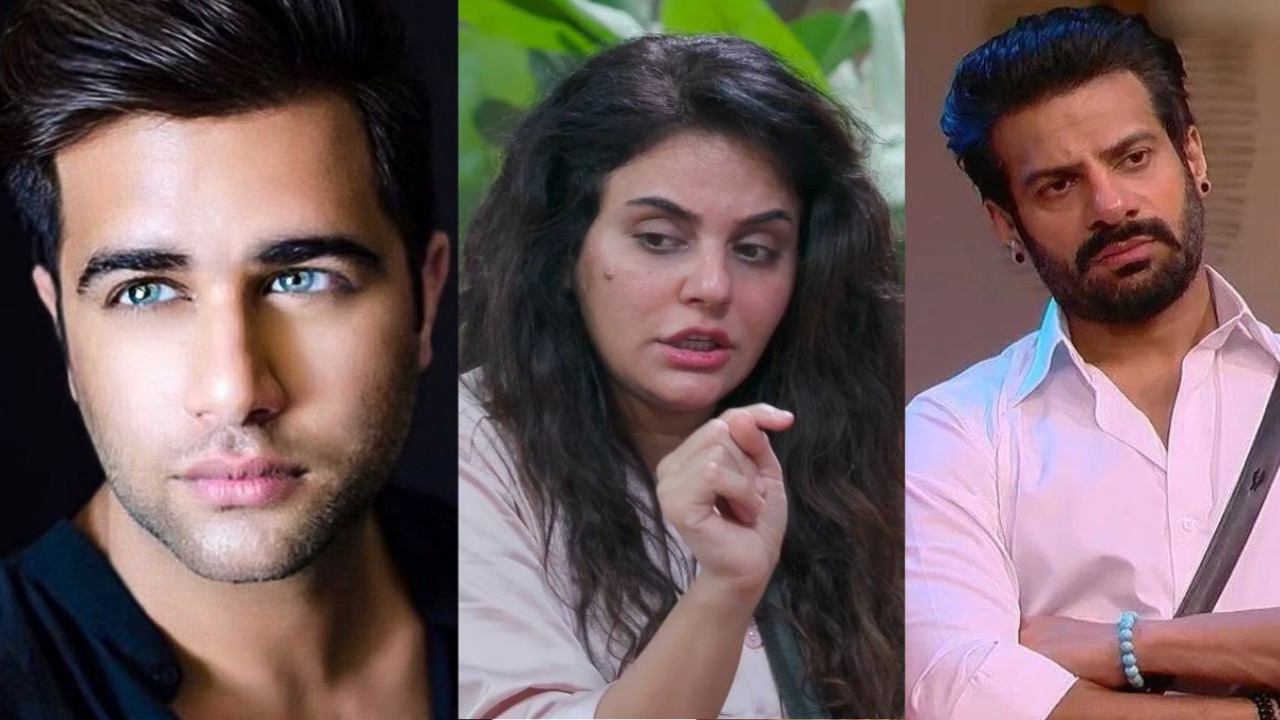 Rajiv Adatia, Sara Arfeen Khan, Karan Veer Mehra