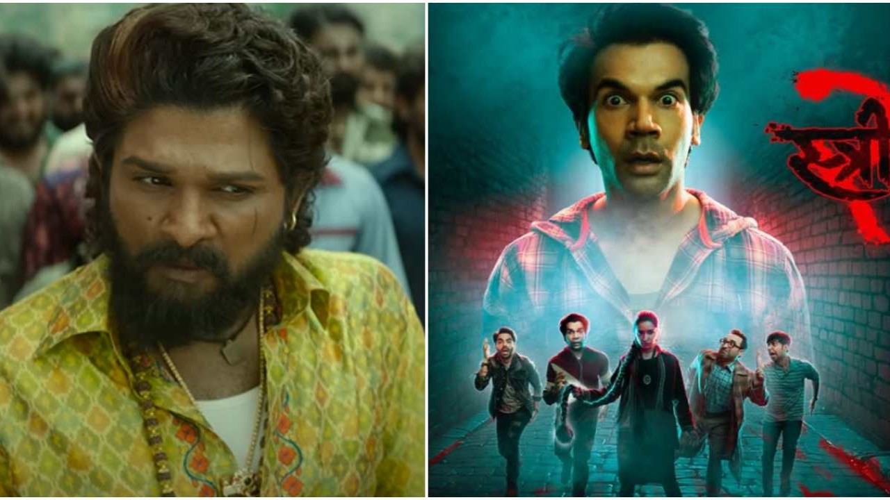 Pushpa 2 vs Stree 2 Hindi Box Office Comparison 2 Weeks