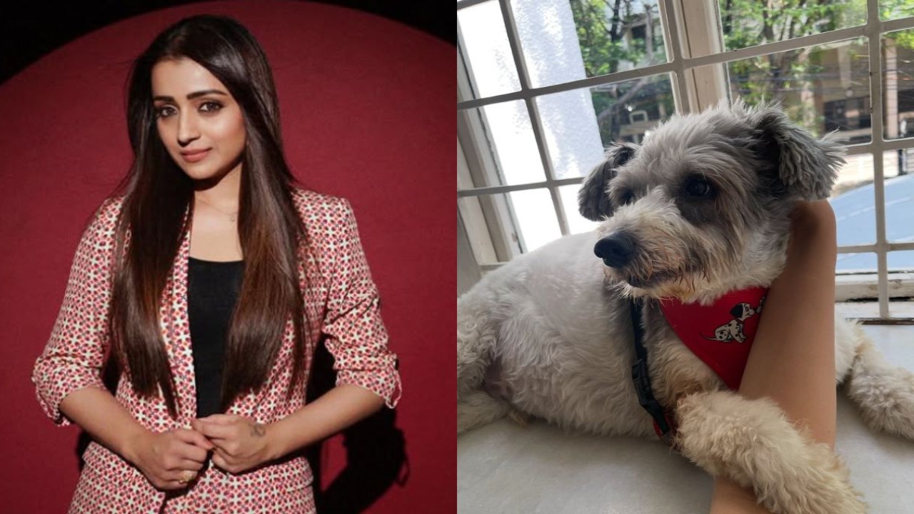  Trisha Krishnan mourns loss of her son Zorro, pens emotional note as she goes ‘off radar’