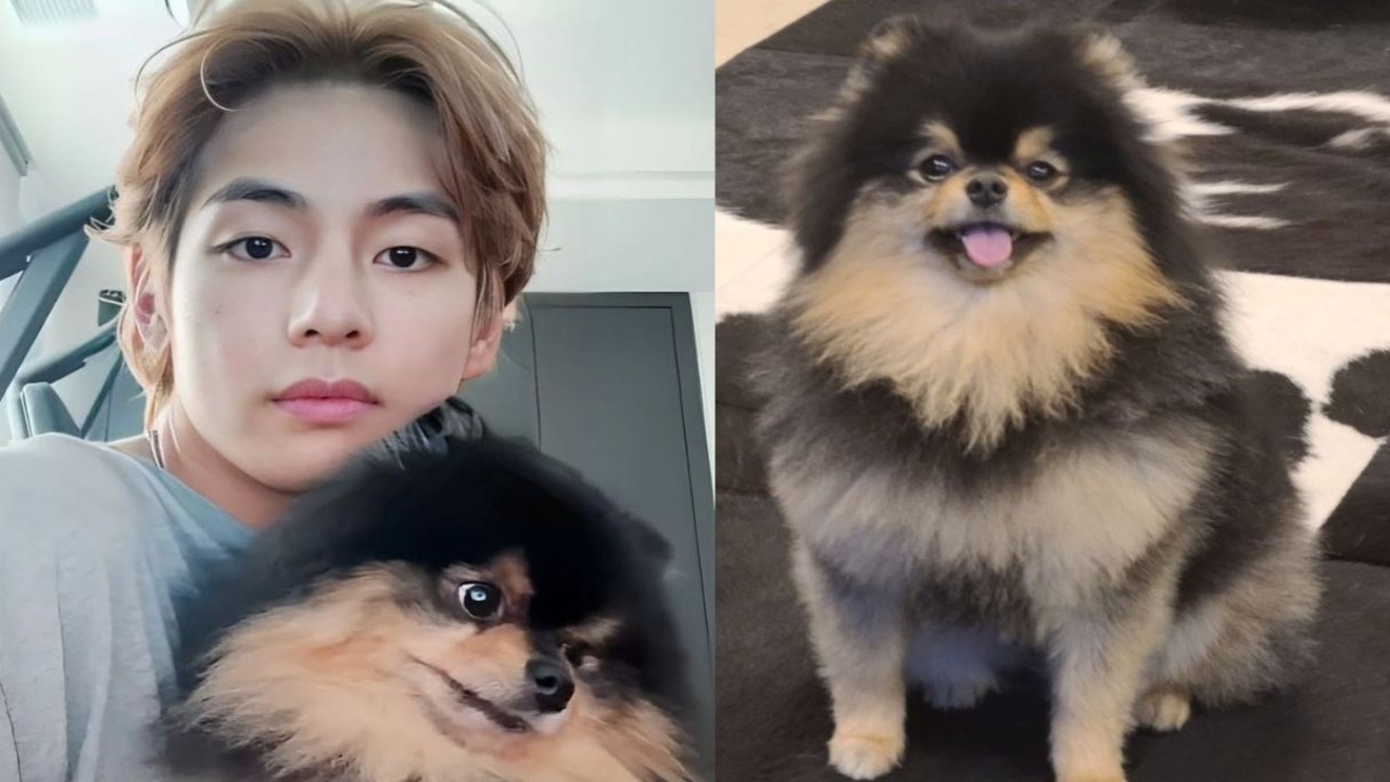 V with Yeontan: images from his Instagram