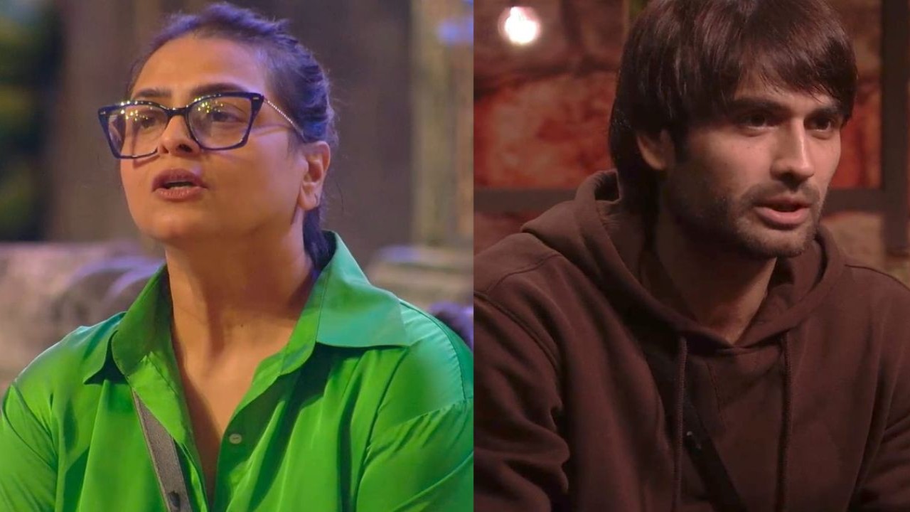 Shilpa Shirodkar, Vivian Dsena