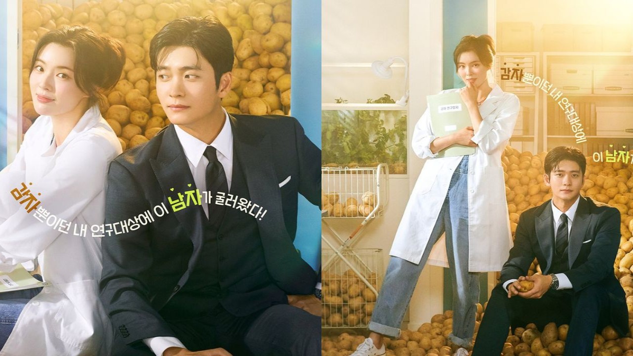 The Potato Lab poster: courtesy of tvN