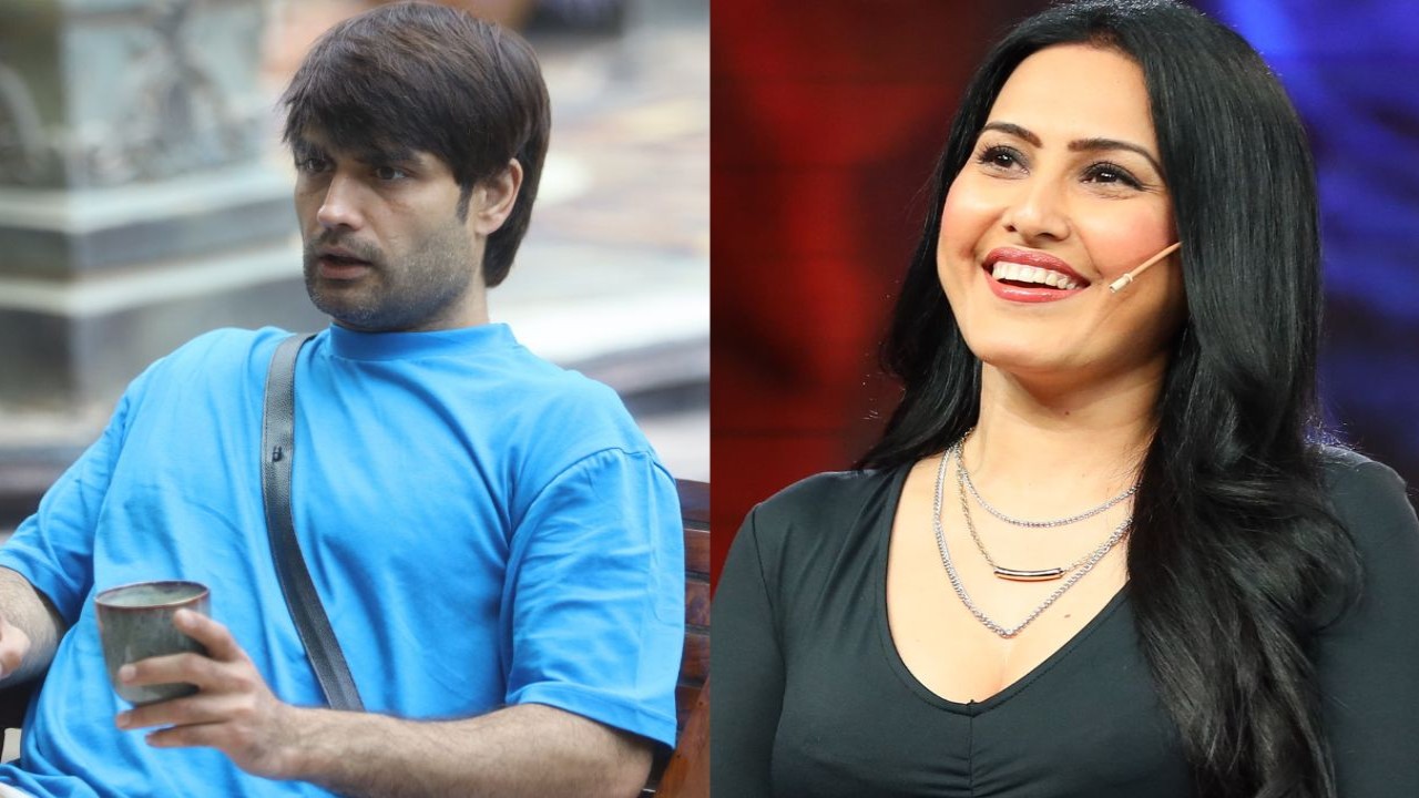 Vivian Dsena, Kamya Panjabi