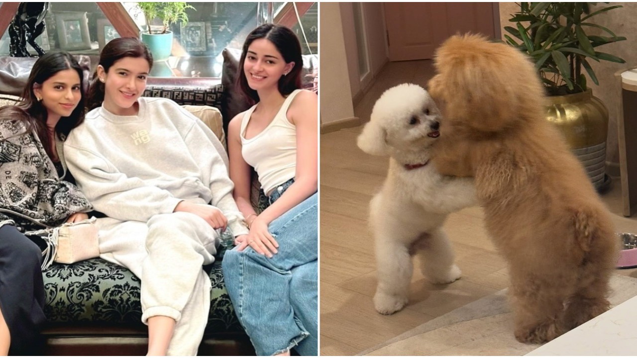 Ananya Panday, Suhana Khan and Shanaya Kapoor’s pet dogs are besties just like their moms and these PICS are proof