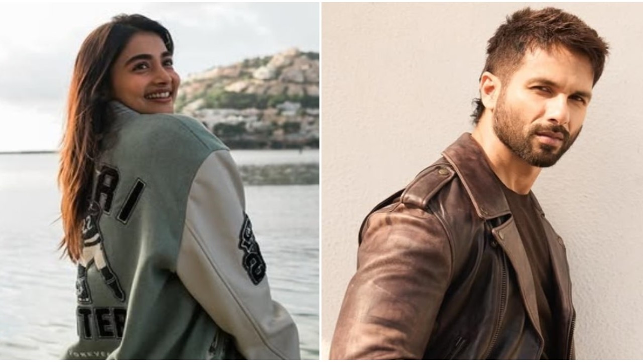 Shahid 'makes the greatest therapist' claims his Deva co-star Pooja Hegde; here's why