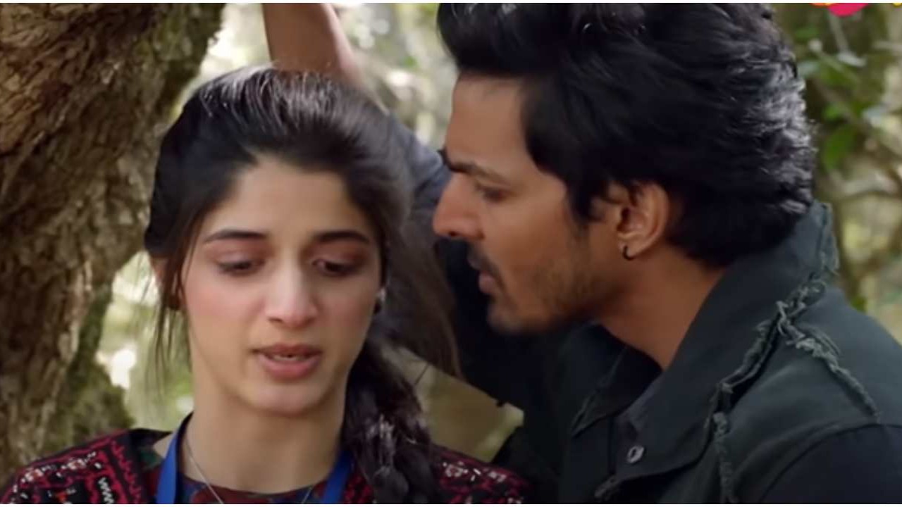 Sanam Teri Kasam Day 19 Box Office Trends: Cult film looks to end less than Tumbbad