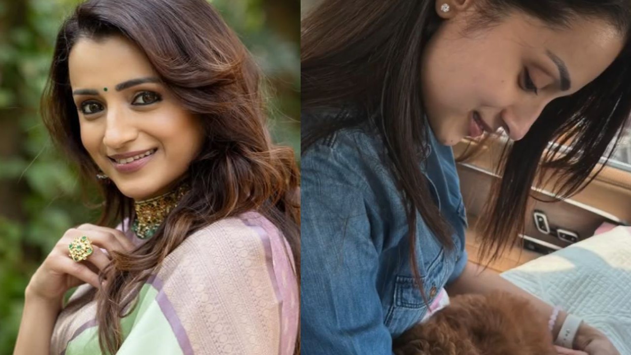 Watch: Trisha Krishnan says she’s been ‘rescued’ after welcoming a new family member