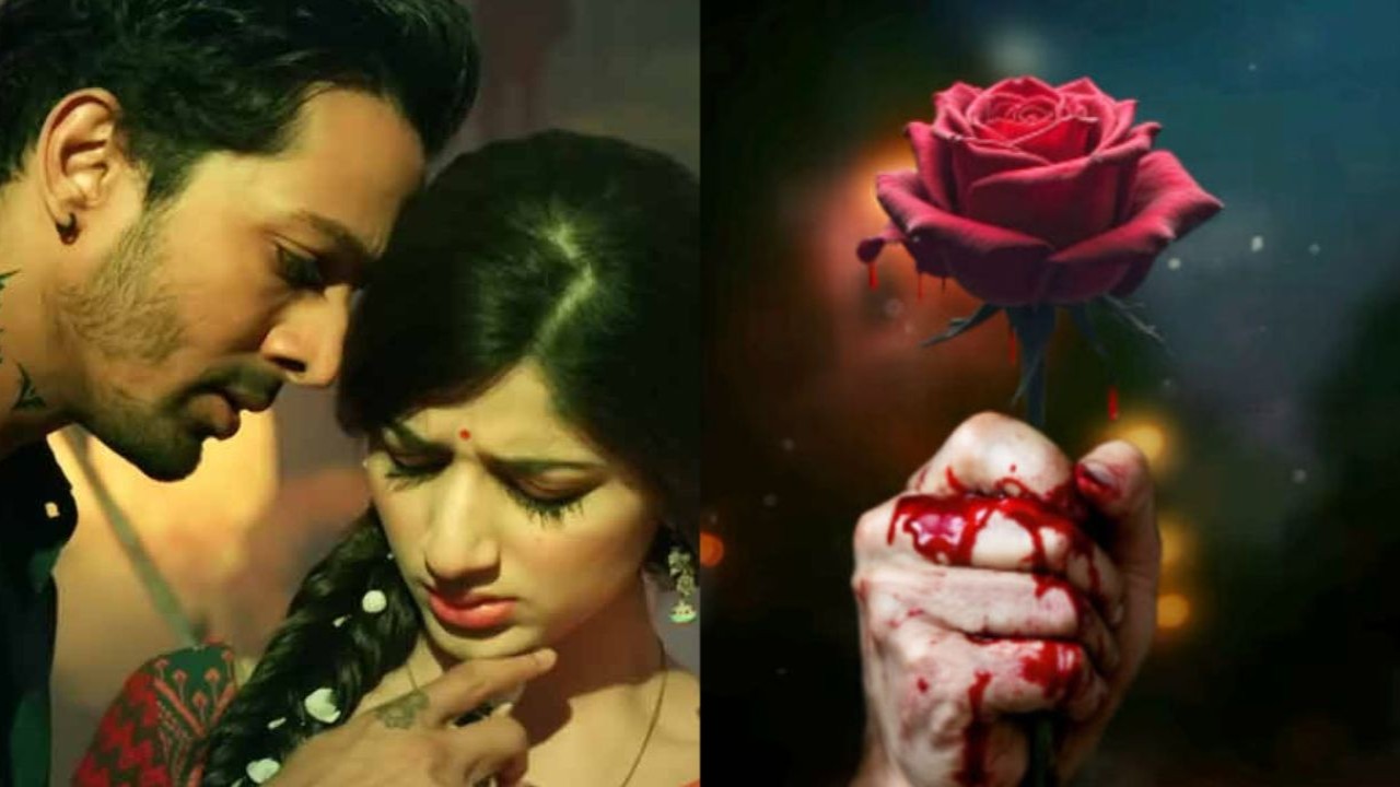 Box Office: After blockbuster re-release of Sanam Teri Kasam, can Harshvardhan Rane bui...